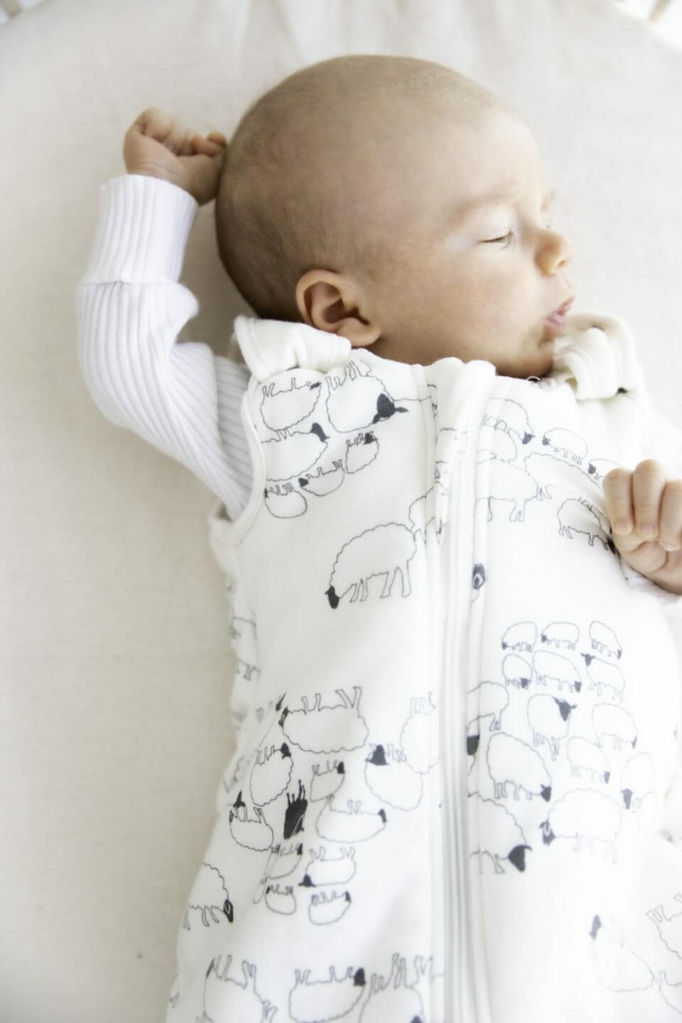 Ergobaby Sleeping bag - Sheep 0-6/S TOG 2.5