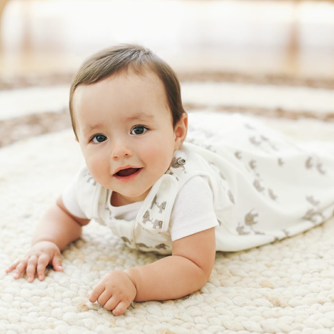 Ergobaby Sleeping bag - Elephant 0-6/S TOG 2.5