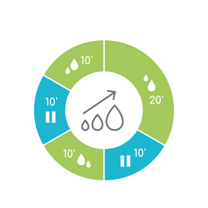 Ardo Alyssa - Patkica.eu