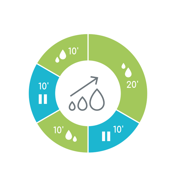 Ardo Alyssa - Patkica.eu