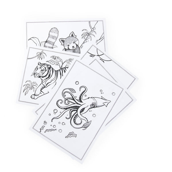 Kidywolf x Moulin Roty Tout autour du monde svjetleća ploča za crtanje - Patkica.eu
